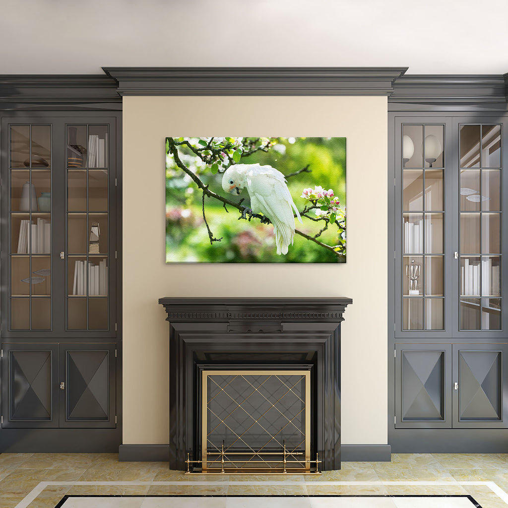 Weißer Papagei - Real Foto Wandbild