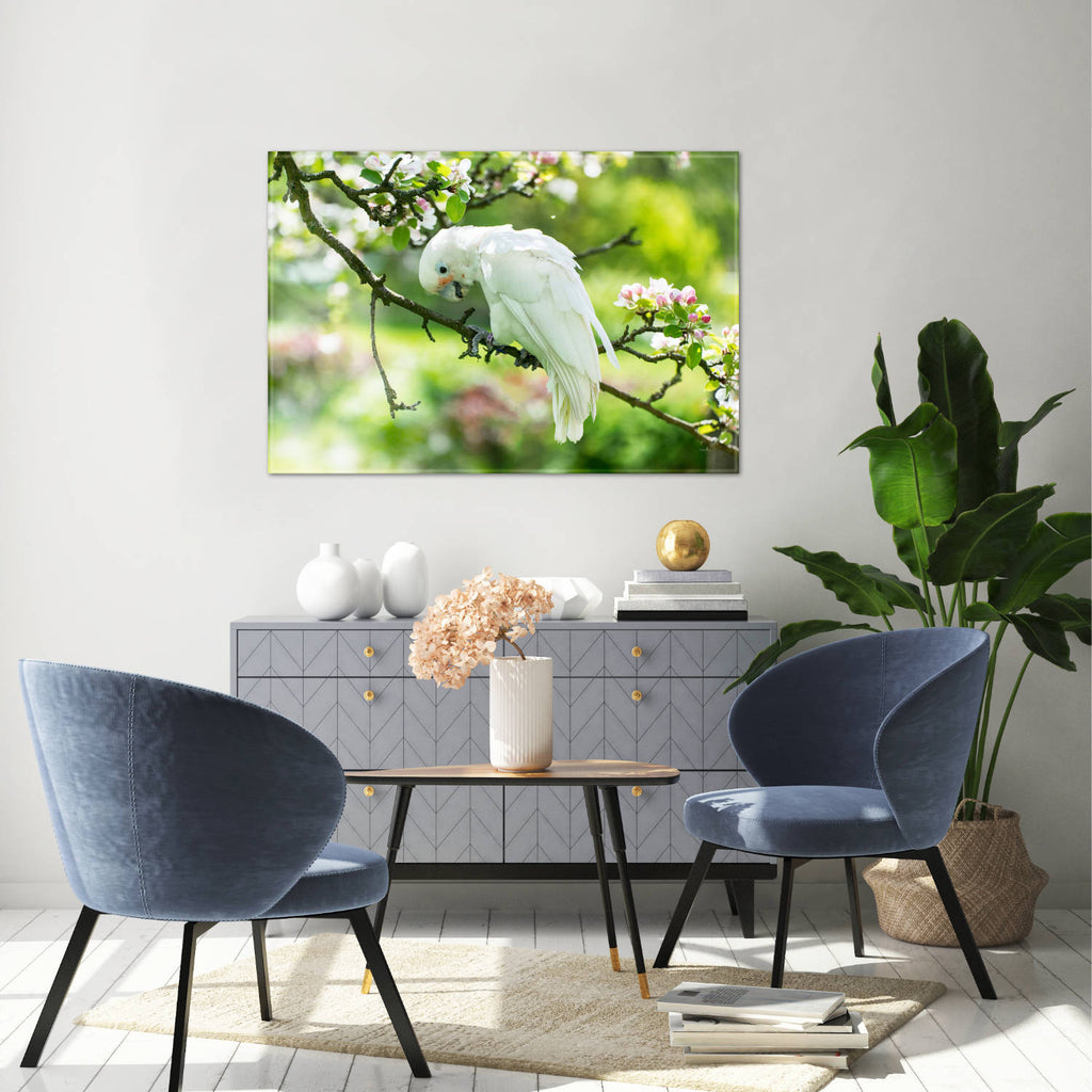 Weißer Papagei - Real Foto Wandbild