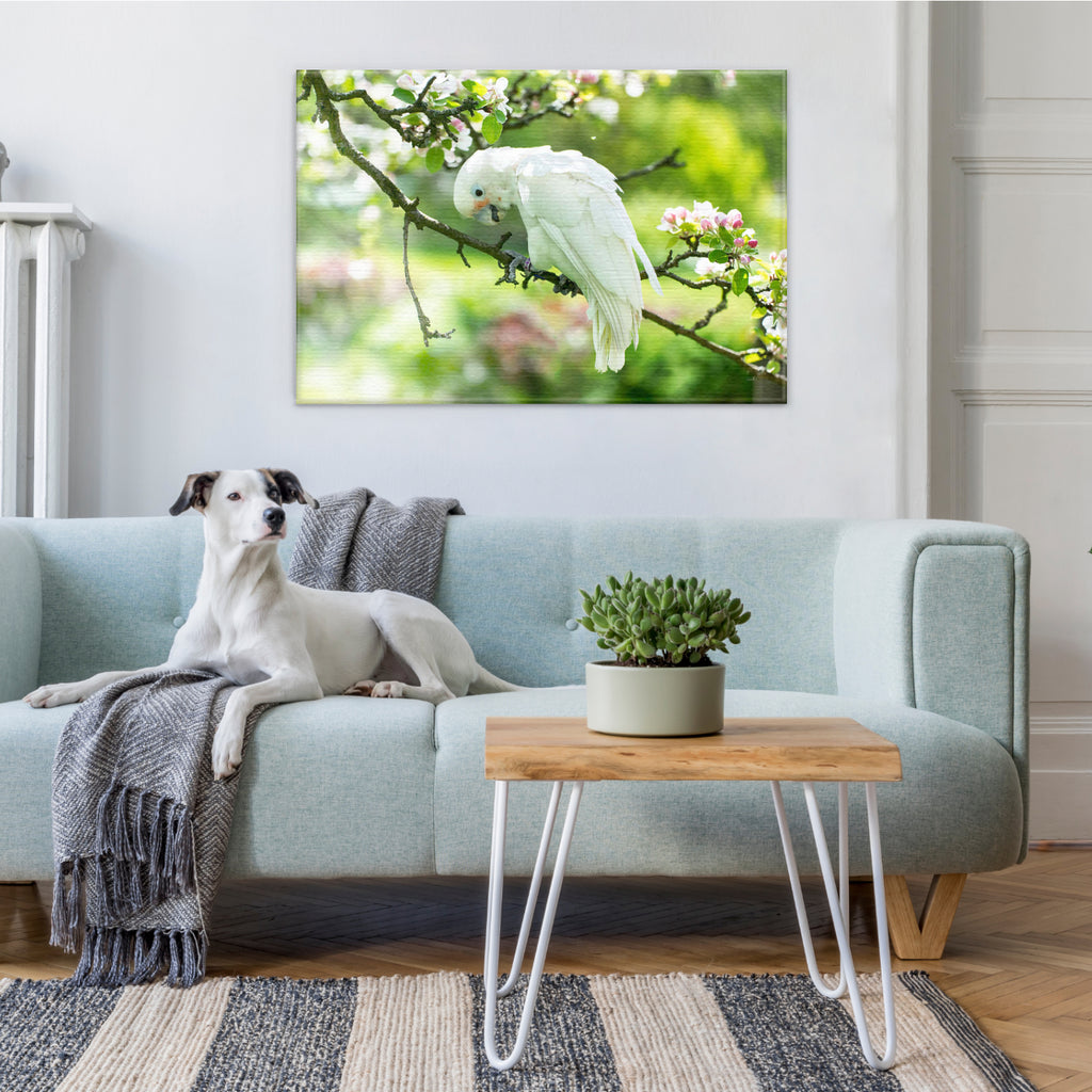 Weißer Papagei - Real Foto Wandbild