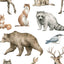 Entdecke wunderschöne Illustrationen im Aquarellstil von Hirschen, Vögeln, Bären und weiteren Waldtieren.