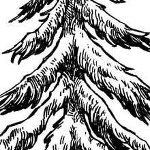 Bewundere den wunderschön illustrierten Baum