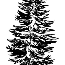 Bewundere den wunderschön illustrierten Baum