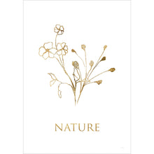 Bewundere die illustrierte Blume auf diesem stilvollen Poster.