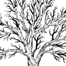 Bewundere den wunderschön illustrierten Baum