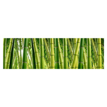 Bambuswald - Real Foto Wandbild