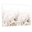 Bed of Roses Sepia - Real Foto Wandbild