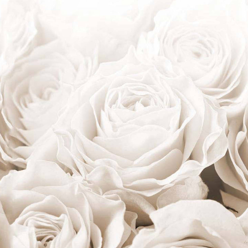 Bed of Roses Sepia - Real Foto Wandbild