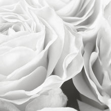 Bed of Roses Schwarz Weiß - Real Foto Wandbild