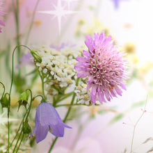 Blümchen - Real Foto Wandbild