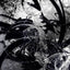 Jungle Graf Schwarz Weiß - Abstraktes Wandbild