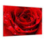 Liebe Rot - Real Foto Wandbild