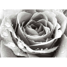 Liebe Schwarz Weiß - Real Foto Wandbild