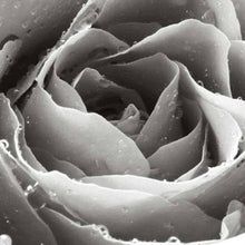 Liebe Schwarz Weiß - Real Foto Wandbild