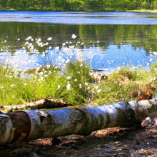 Nimue - Real Foto Wandbild