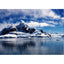 Polar - Real Foto Wandbild