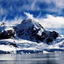 Polar - Real Foto Wandbild