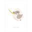 Spring Birds No.17 - Zeichnung Wandbild