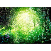 Sunlight - Real Foto Wandbild