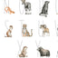 Entdecke wunderschöne Illustrationen im Aquarellstil von Tiger, Panther, Yak und weiteren Tierarten.