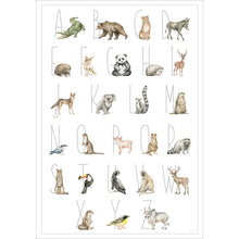 Entdecke die verschiedenen Tierarten der Welt auf diesem stilvollen Poster