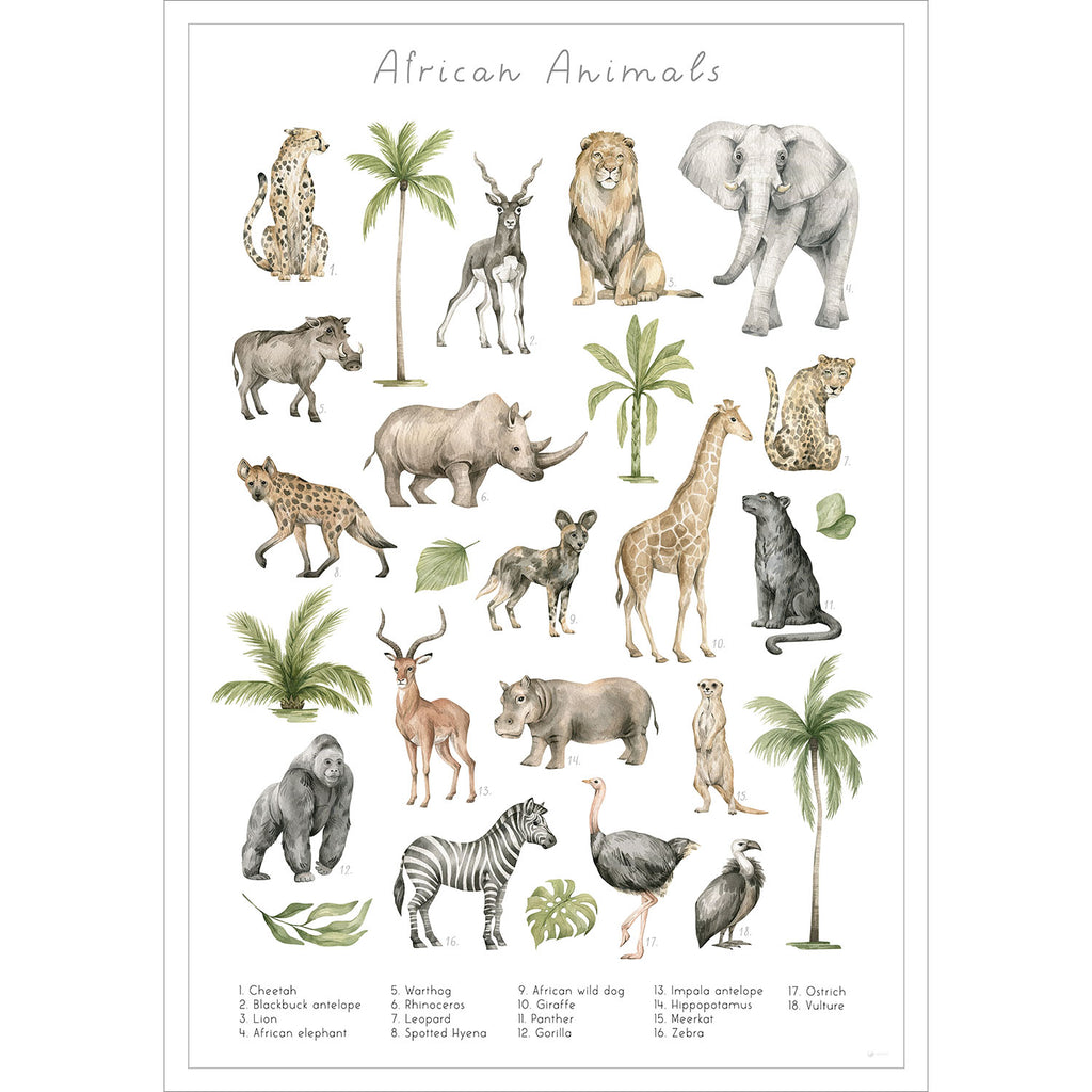 Entdecke die verschiedenen Tierarten Afrikas auf diesem stilvollen Poster.