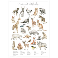 Entdecke die verschiedenen Tierarten der Welt auf diesem stilvollen Poster.