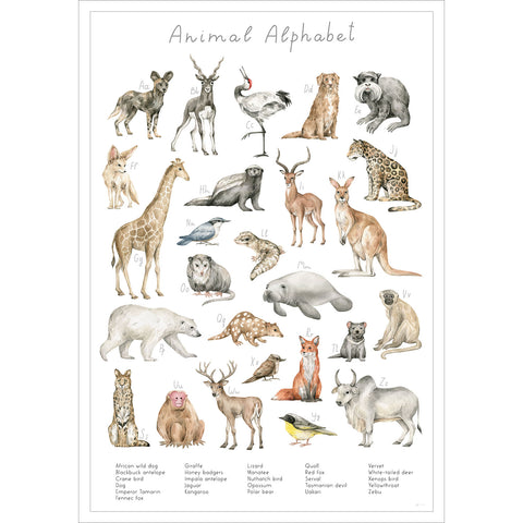 Entdecke die verschiedenen Tierarten der Welt auf diesem stilvollen Poster.
