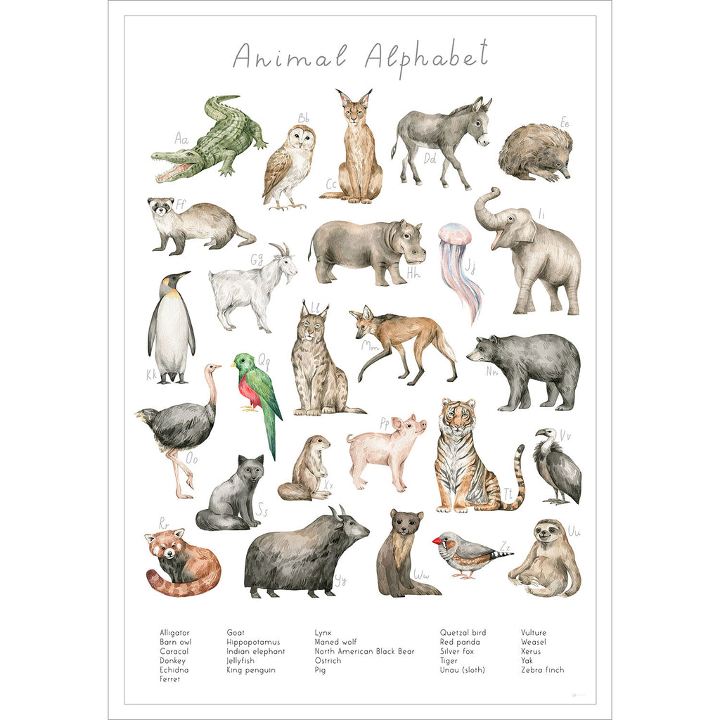 Entdecke die verschiedenen Tierarten der Welt auf diesem stilvollen Poster.