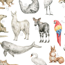 Entdecke wunderschöne Illustrationen im Aquarellstil von Papagei, Robbe, Schwan und weiteren Tierarten.