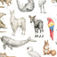 Entdecke wunderschöne Illustrationen im Aquarellstil von Papagei, Robbe, Schwan und weiteren Tierarten.