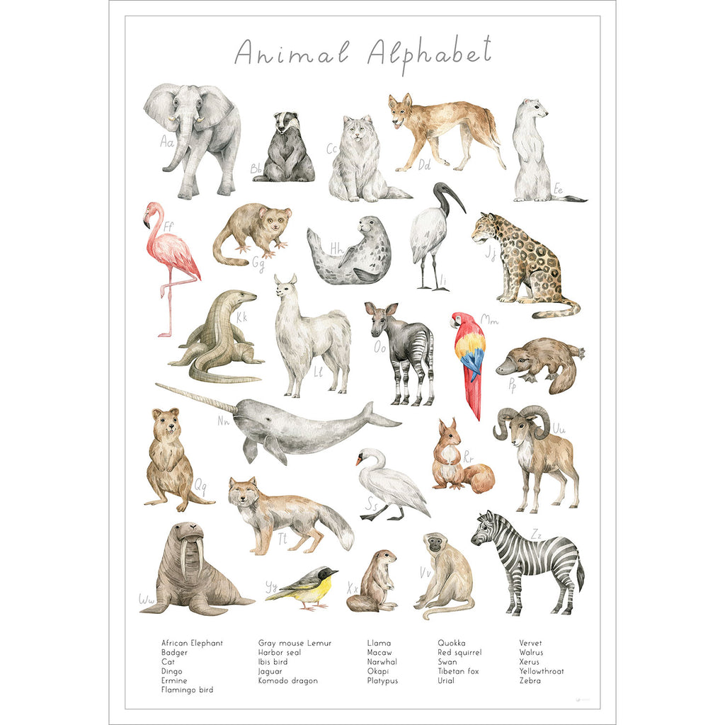 Entdecke die verschiedenen Tierarten der Welt auf diesem stilvollen Poster.