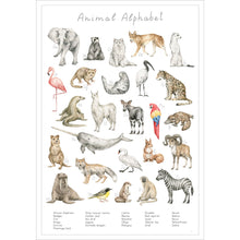 Entdecke die verschiedenen Tierarten der Welt auf diesem stilvollen Poster.