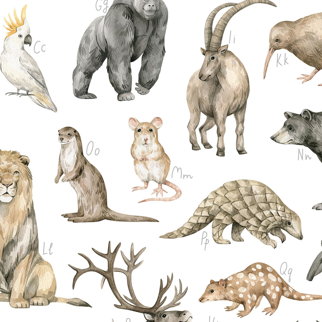 Entdecke wunderschöne Illustrationen im Aquarellstil von Löwe, Gorilla, Steinbock und weiteren Tierarten.