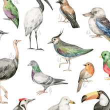 Entdecke wunderschöne Illustrationen im Aquarellstil von Taube, Strauß, Tukan und weiteren Tierarten.