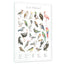 Ein echtes Schmuckstück - Dein Tierwelt Vogel Alphabet Motiv als Glasbild ist besonders edel.