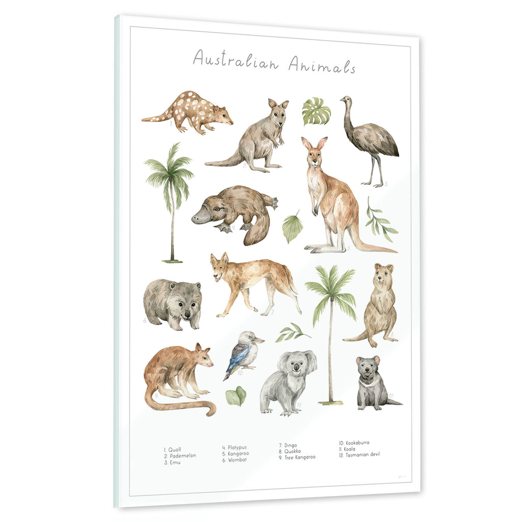 Ein echtes Schmuckstück - Dein Tierwelt Australien Motiv als Glasbild ist besonders edel.