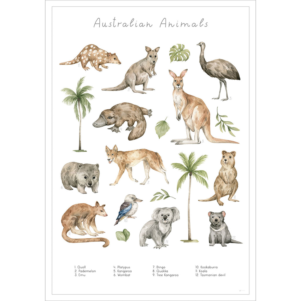 Entdecke die verschiedenen Tierarten Australiens auf diesem stilvollen Poster.