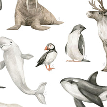 Entdecke wunderschöne Illustrationen im Aquarellstil von Pinguin, Walross, Rentier und weiteren Tierarten.