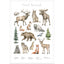 Entdecke die verschiedenen Tiere des Waldes auf diesem stilvollen Poster.