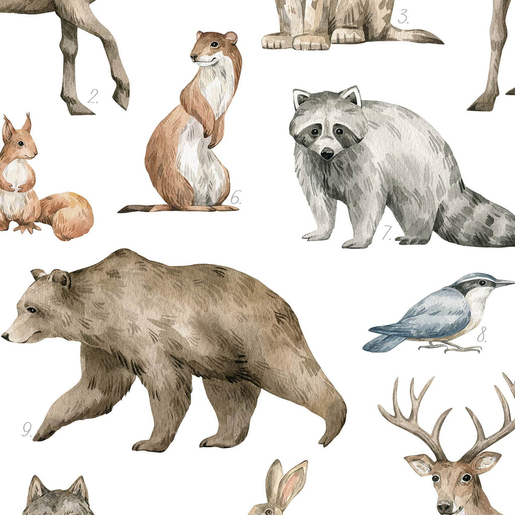 Entdecke wunderschöne Illustrationen im Aquarellstil von Hirschen, Vögeln, Bären und weiteren Waldtieren.