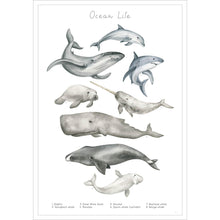 Entdecke die verschiedenen Tiere des Wassers auf diesem stilvollen Poster.