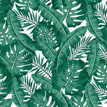 Tropic - Zeichnung Wandbild