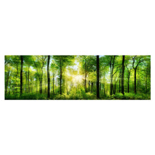 Wald - Real Foto Wandbild