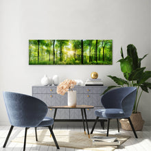 Wald - Real Foto Wandbild