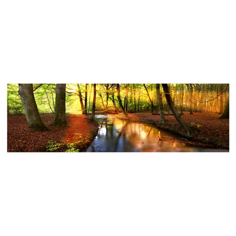 Waldbach – Wald Wandbild als Fotografie