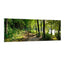 Waldsee - Real Foto Wandbild