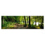 Waldsee - Real Foto Wandbild