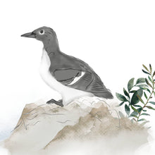 Wildnis 06 - Aquarell Wandbild